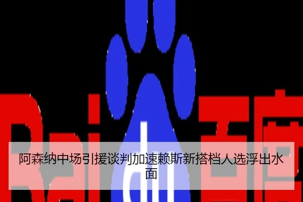 阿森纳中场引援谈判加速赖斯新搭档人选浮出水面