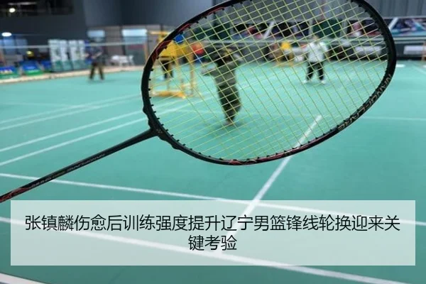 张镇麟伤愈后训练强度提升辽宁男篮锋线轮换迎来关键考验