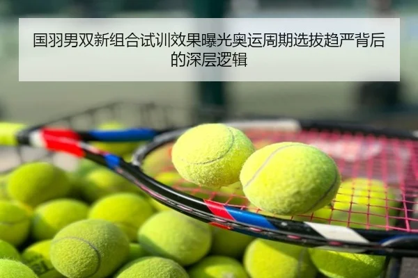 国羽男双新组合试训效果曝光奥运周期选拔趋严背后的深层逻辑